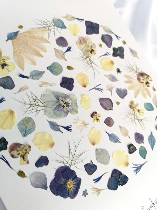 herbier 85