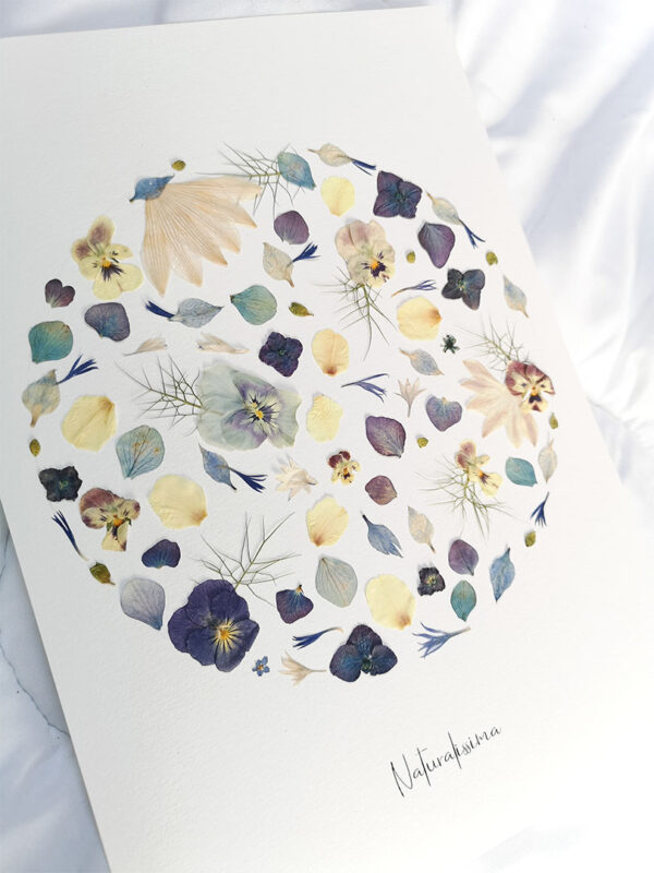 herbier 85