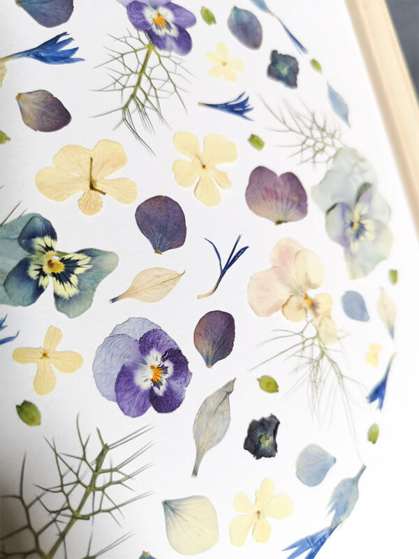 herbier 91