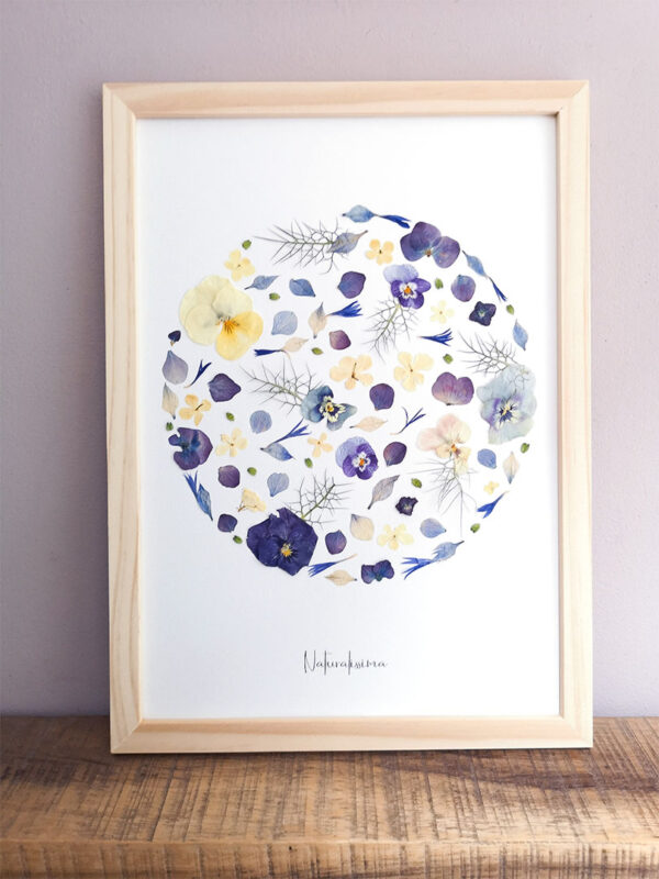 herbier 91