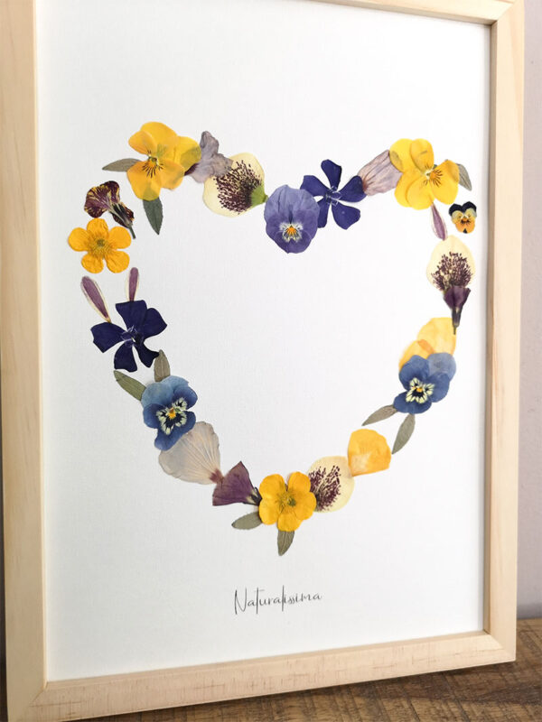 Herbier 91