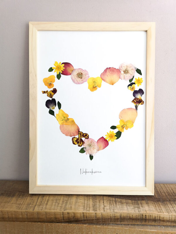 Herbier 92