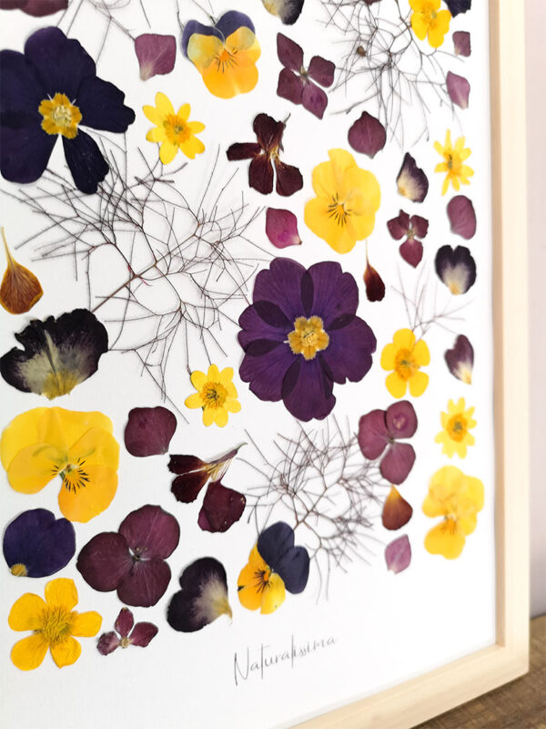 herbier 121
