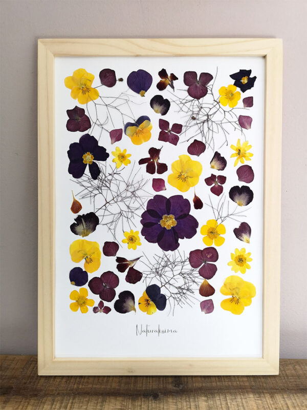 herbier 121