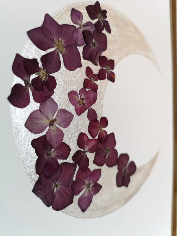 herbier 125