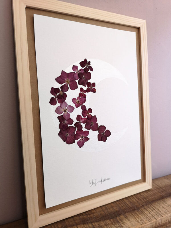 herbier 125