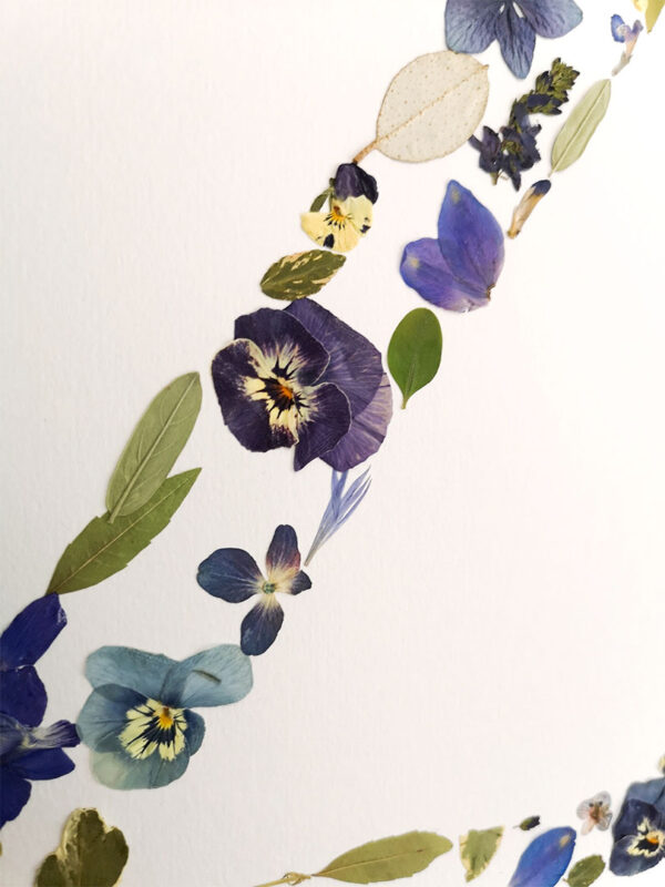 HERBIER LETTRE A3