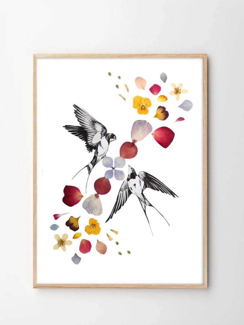 herbier fleurs pressées hirondelle herbier fleurs pressées hirondelle