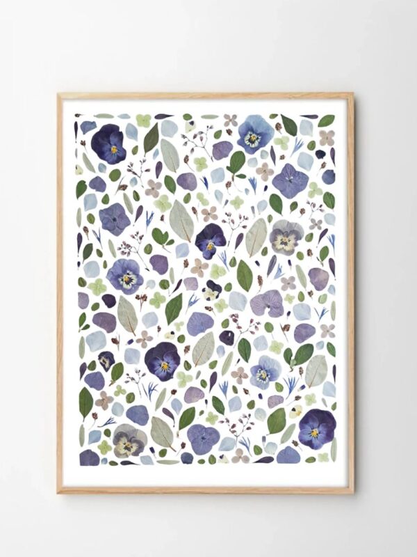 tableau herbier fleurs pressées brume céleste