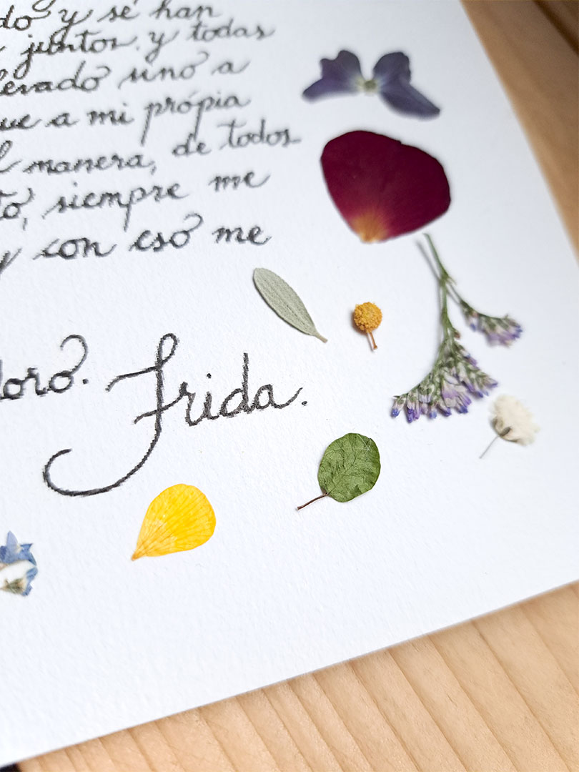 Herbier lettre Frida Kahlo