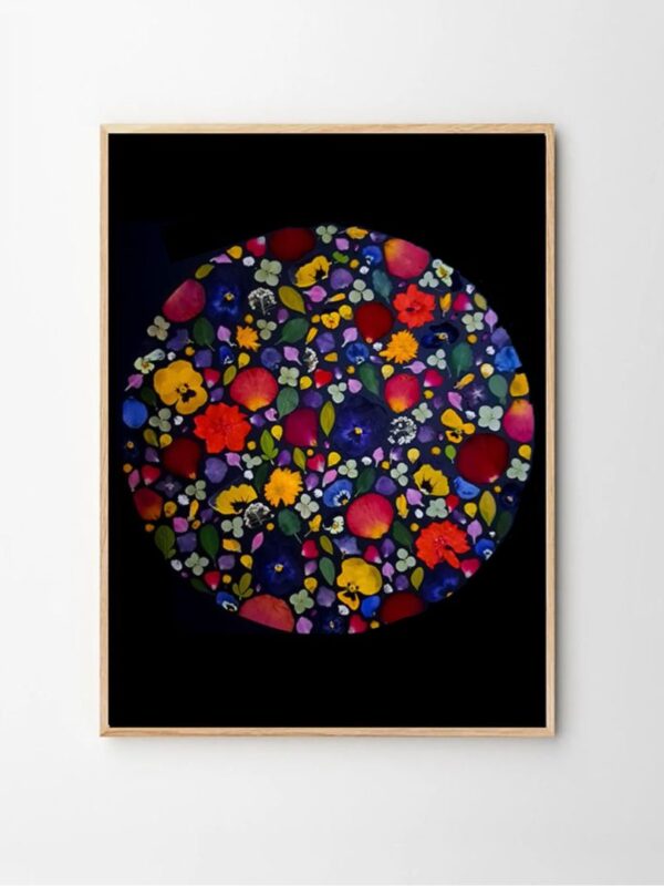 herbier fleurs pressées nuit chromatique