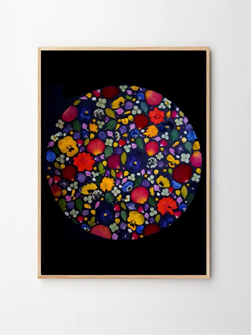 herbier fleurs pressées nuit chromatique