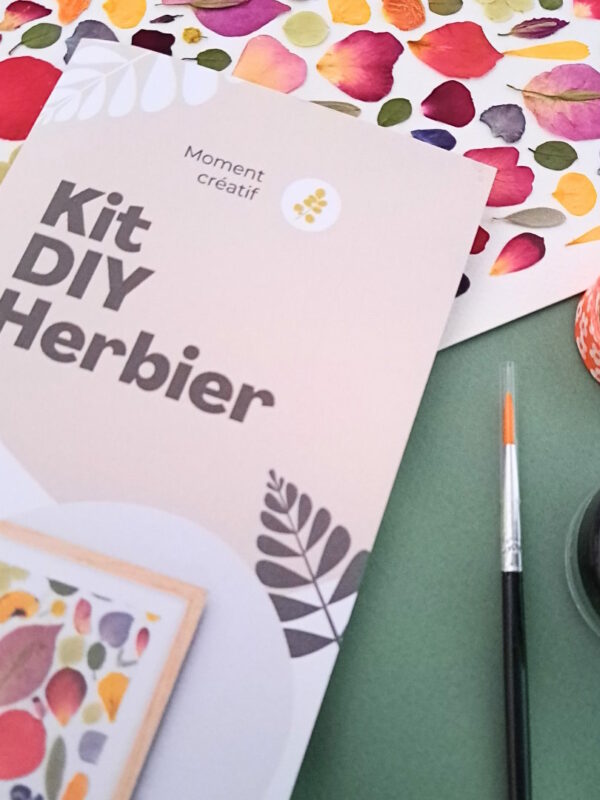 kit herbier DIY