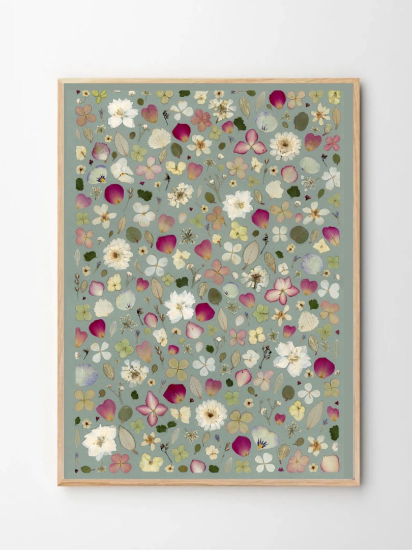 tableau fleur herbier fond colore naturalissima (5)