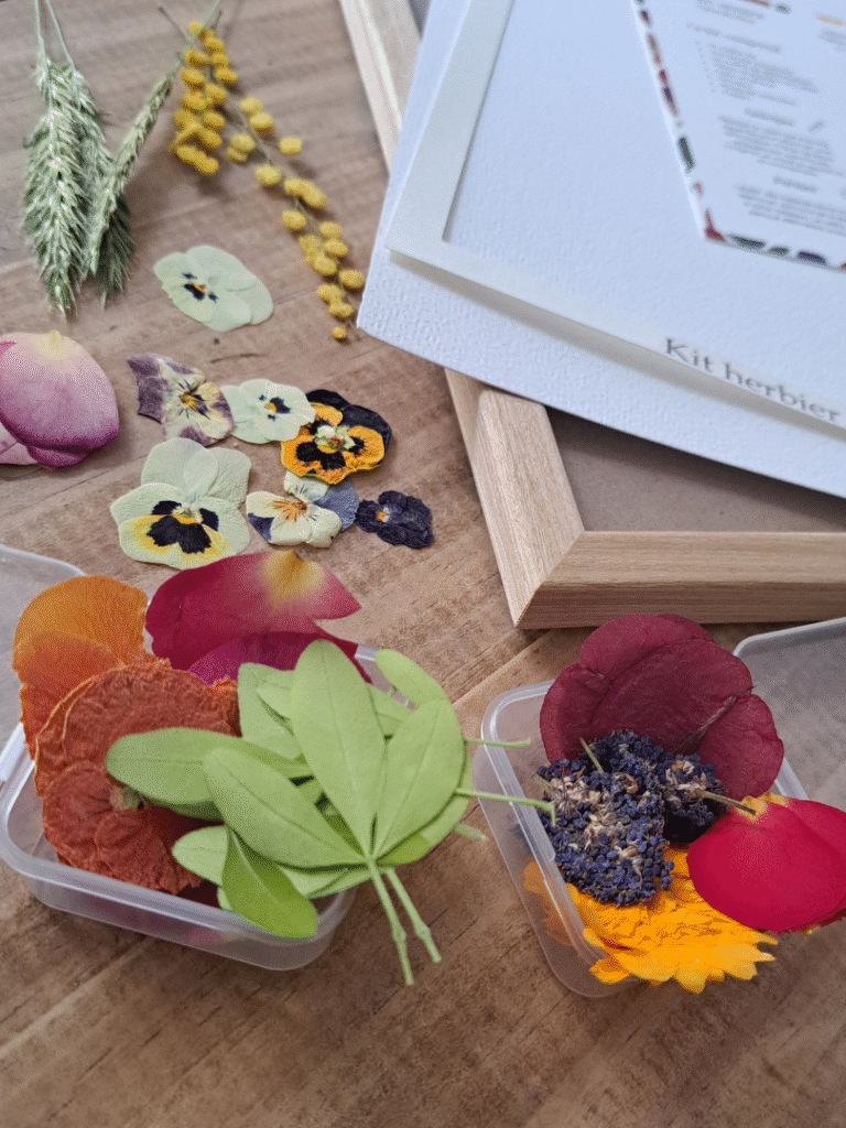 kit herbier naturalissima (2)
