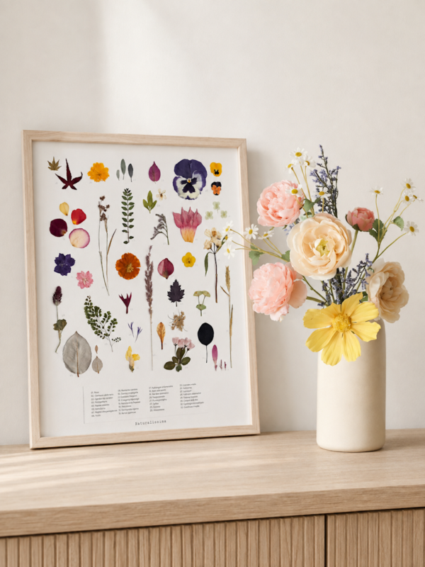 planche botanique sur mesure