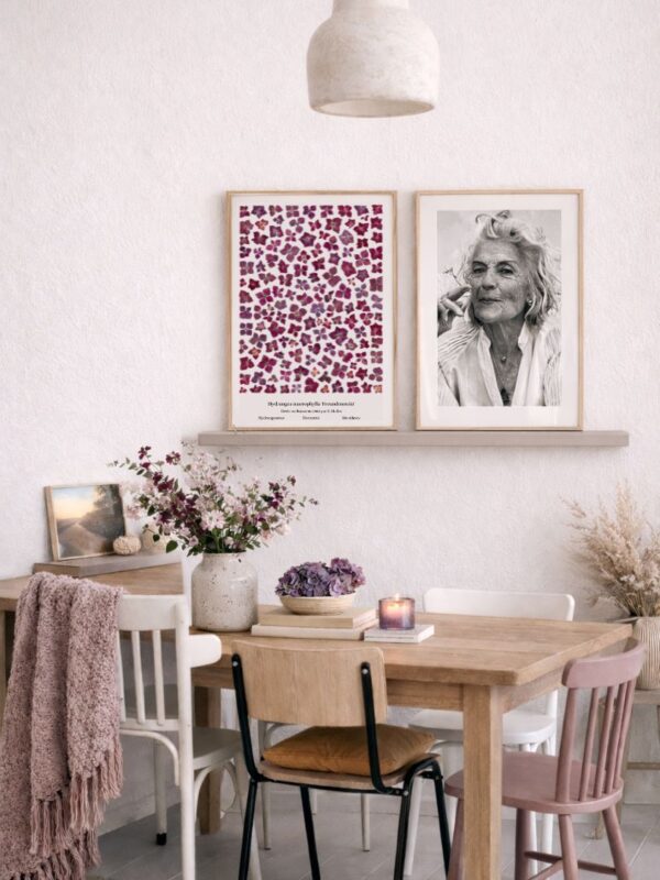 planche botanique hortensia naturalissima