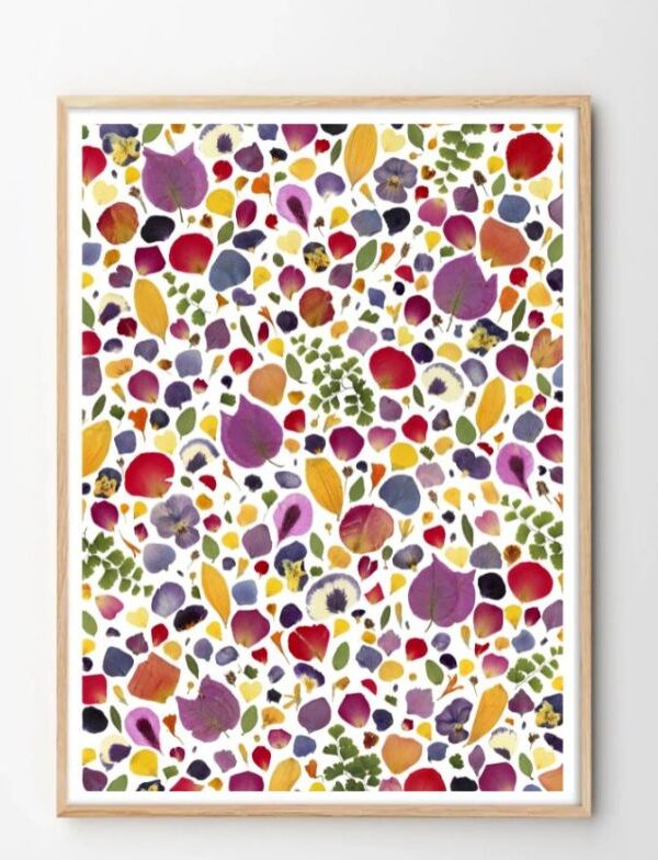 tirage art herbier colore