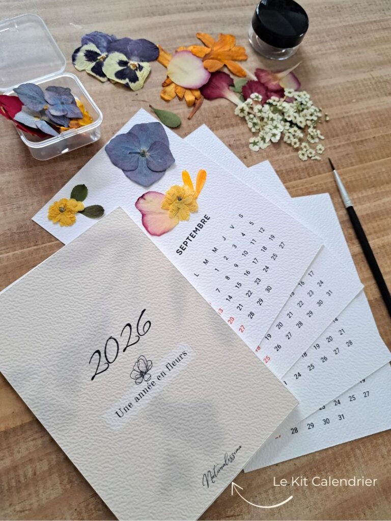 kit diy calendrier herbier 2026
