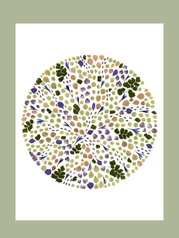 tirage art rêve herbier (2)