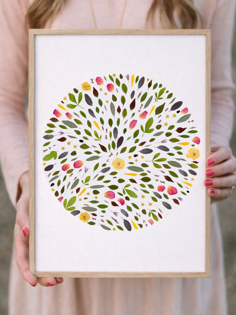 TAbleau herbier naturalissima