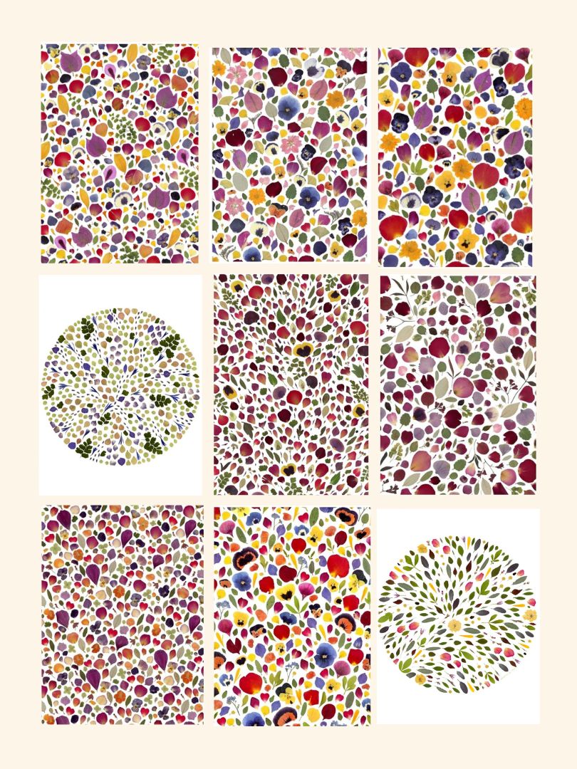 lot carte tirage art