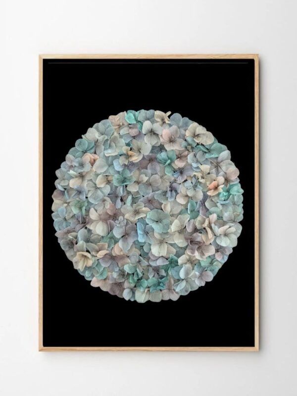 tableau hortensia stabilise