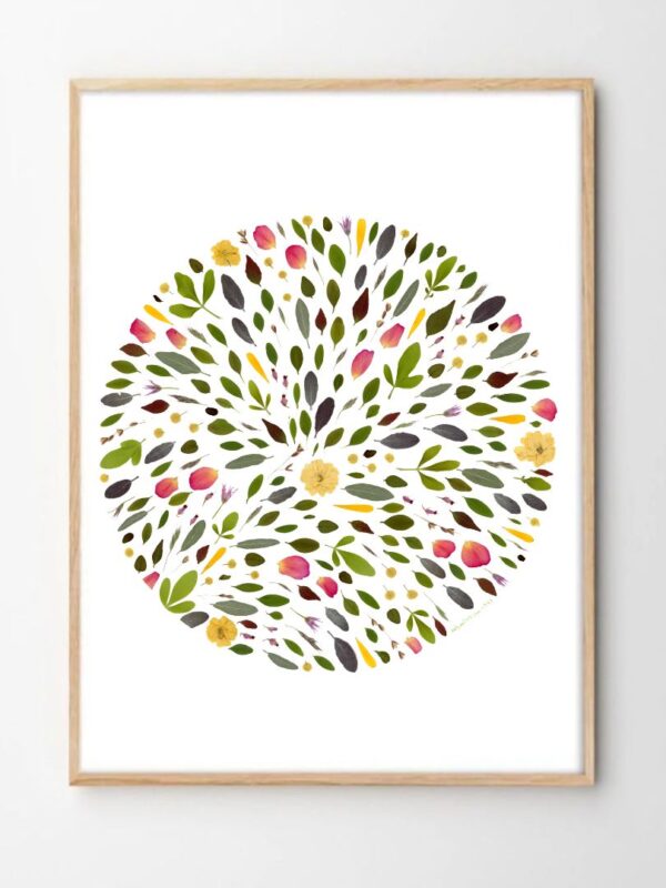 tirage art herbier l'obstiné