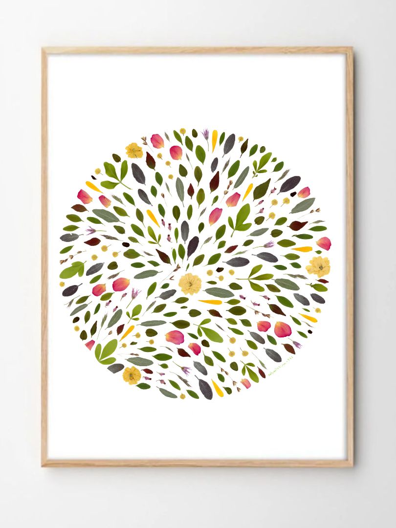 tirage art herbier l'obstiné