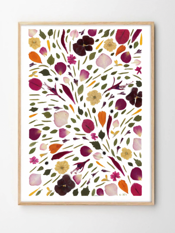 herbier naturalissima 354