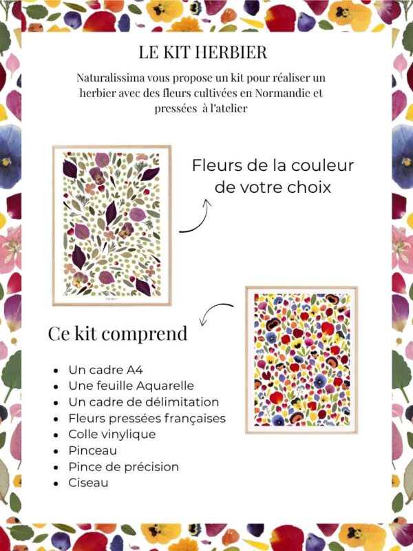 le kit diy herbier fleurs pressées