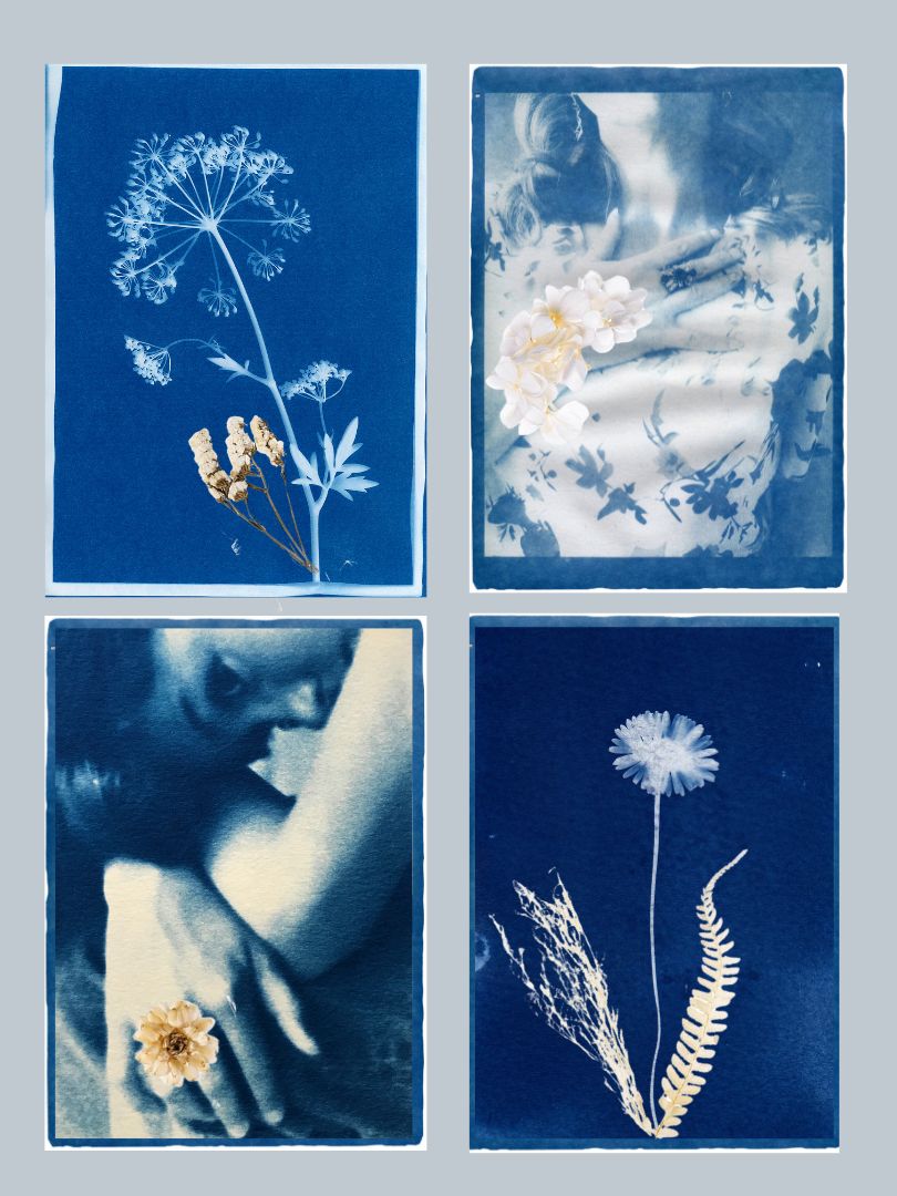 Carte CYANOTYPE et fleurs séchés Naturalissima