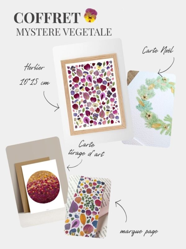 Coffret cadeau herbier fleurs pressées