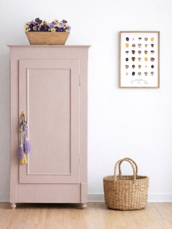 planche herbier botanique naturalissima