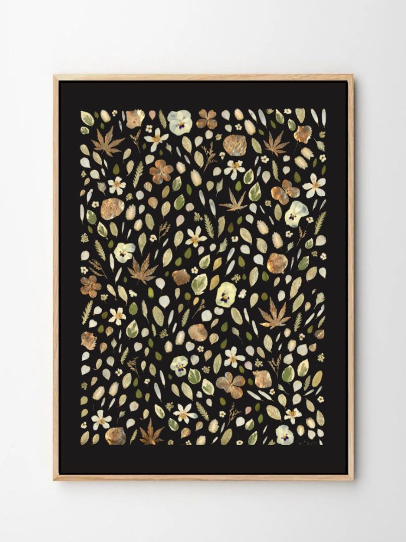 tableau herbier fleurs pressées 355 naturalissima tableau herbier fleurs pressées 355 naturalissima