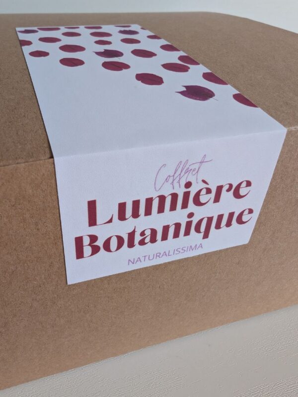 COFFRET bougie lumiere botanique fleurs pressées