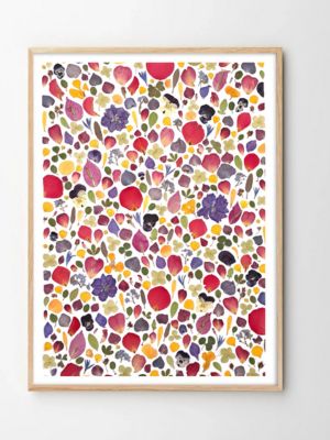 Tableau herbier fleurs pressées tendresse corail 274