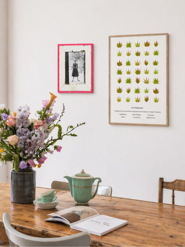 AFFICHE PLANCHE BOTANIQUE ACER TABLEAU (1)