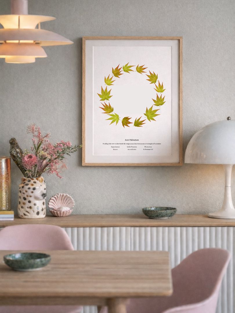 acer palmatum little princess a4