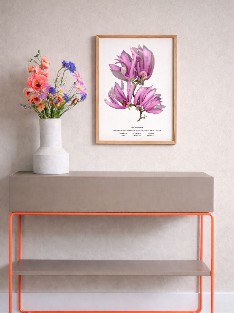 planche botanique magnolia