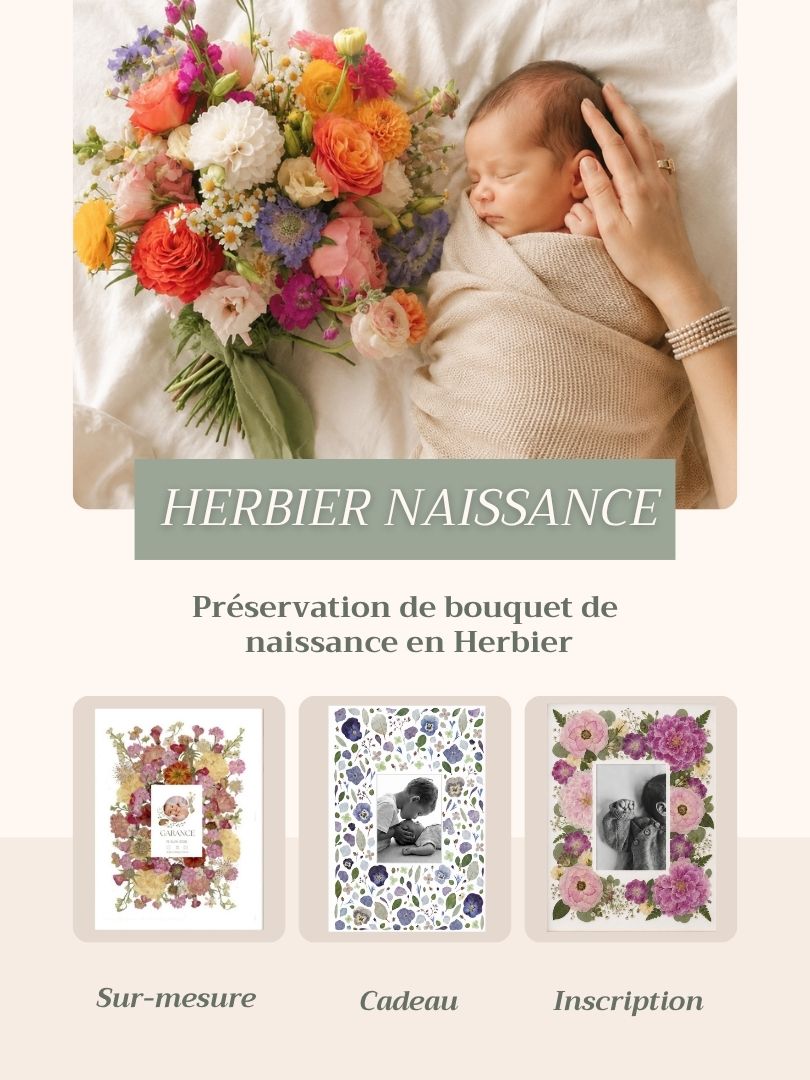HERBIER Préservation bouquet NAISSANCE